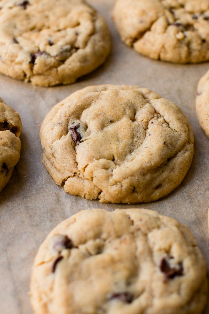 Peanut Butter Chocolate Chip Cookies