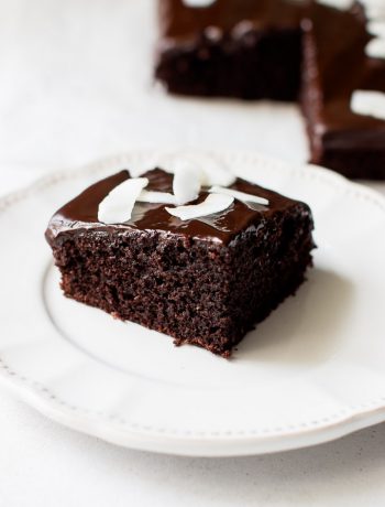 Chocolate Coconut Cake