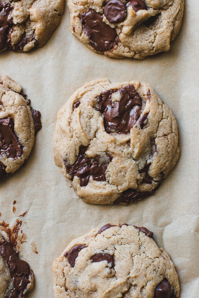 tahini chocolate chip cookies