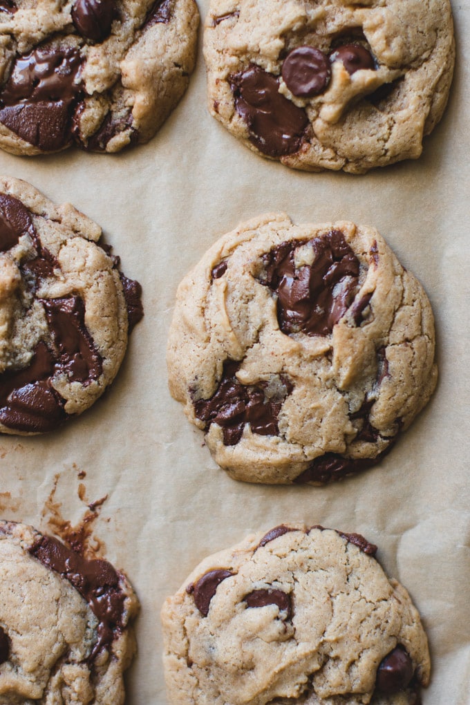 tahini chocolate chip cookies