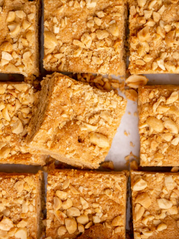 Overhead view of cut peanut butter blondies to show top texture loaded with peanuts.